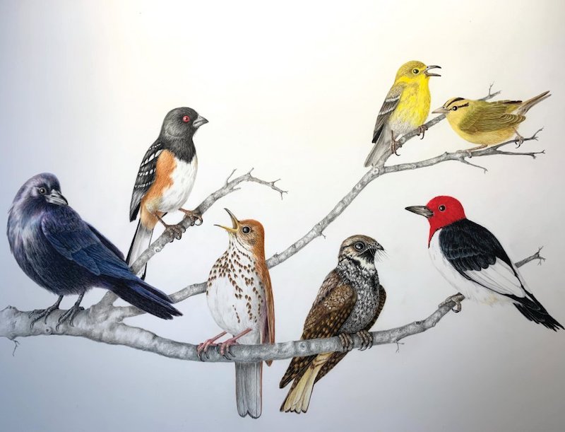 Working Artists Forum Free Demonstration, Monday, September 8, 2025