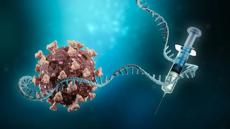 A Universal Cancer Vaccine? Not So Fast… By Angela Rieck